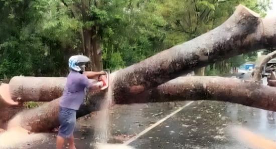 Heavy Rain Disrupts Traffic And Rail Services